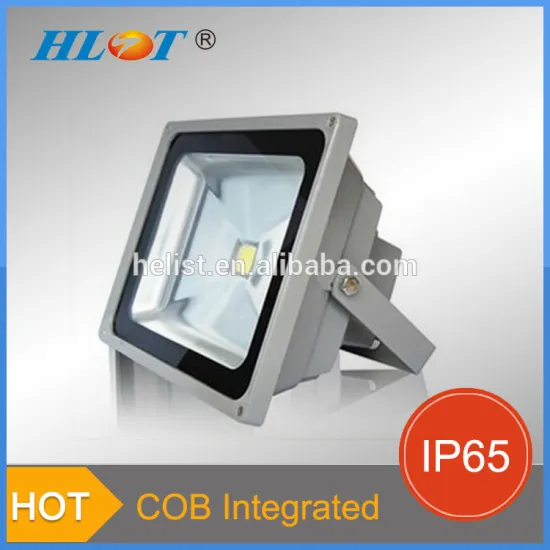 20 watt Rotating Christmas Lights Projector 20w LED Flood Light