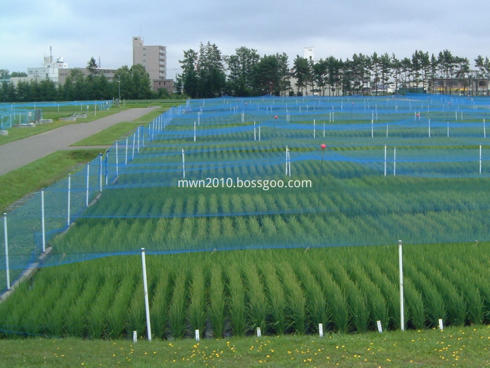 Agricultural Bird Netting