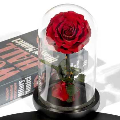 Factory Direct Wholesale: Immortal Rose Gift Boxes & Fresh Cut Flowers
