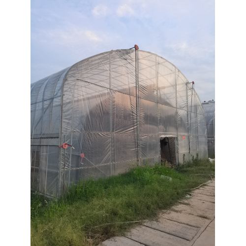 Dual Arch Double Film Single Shed