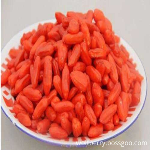 goji berry and pregnancy