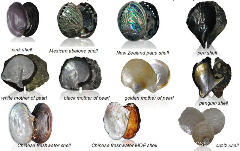 raw material raw material