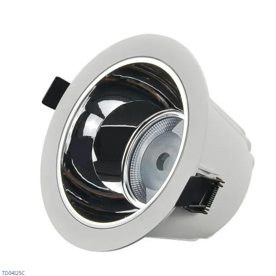 RONSE Aluminum Housing 30w COB LED Downlight