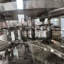 Continuous Dryer for Food Product and Medicine Applications