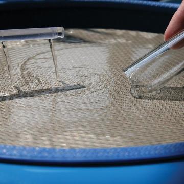 Sanding Discs Tornamesap Disco Lapidello" 

However, considering common usage and clarity, "Sanding Discs Tornamesap Lapidello" might be more appropriate. If "Tornamesap" and "Lapidello" are specific types or brands, then keeping them as is would be best.