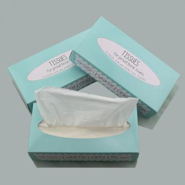 Family Size Box Facial Tissue