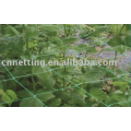 100% натуральный материал Пластиковая решетчатая сетка для лазания по растениям