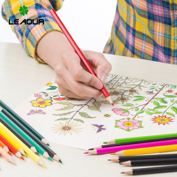 color pencil