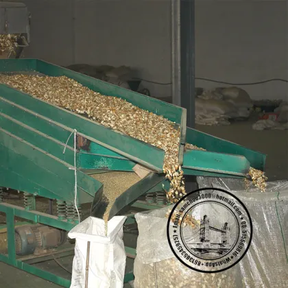 Granulate Lemon Peel Crushed Lemon Peel Dried Lemon Peel