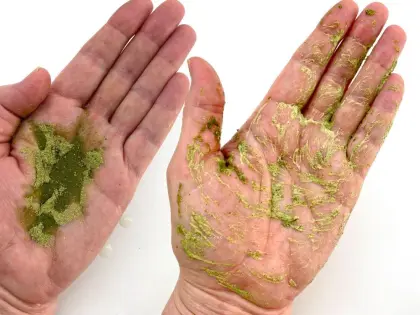 Natural Cosmetics 99.9% Mask Qasil Powder