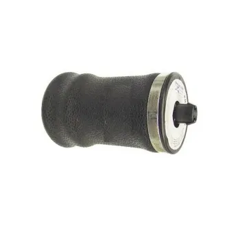 Firestone W02-358-7209 Air Spring Assembly for Freightliner Trucks