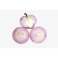 Chinese fresh elephant onion