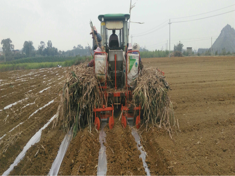 2CZ-2 Sugarcane Planter