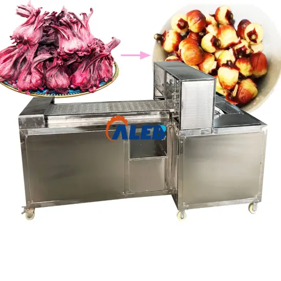 Plum, Olive, Cherry, and Roselle Pitting Machine: Efficient Fruit Processing Solutions