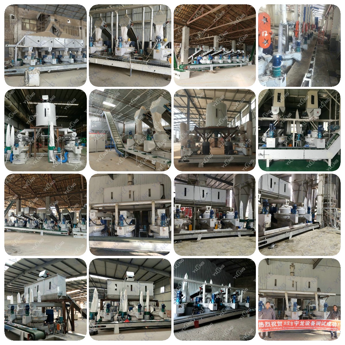 Yulong Sunflower Husk Pellet Press Machine