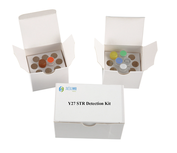 Y27 Plex Str Detection Kit