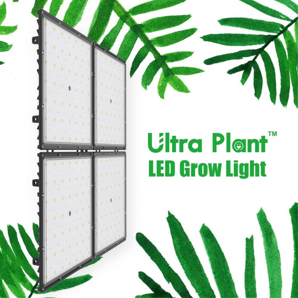 Far Red Grow Lights Greenhouse Indoor Grow Light