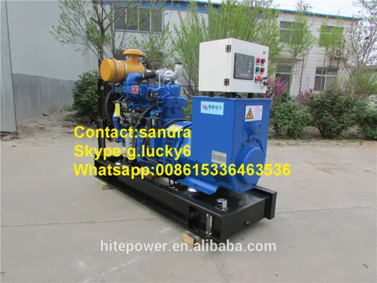 Good performances & Competitive price small biogas generator from china factory