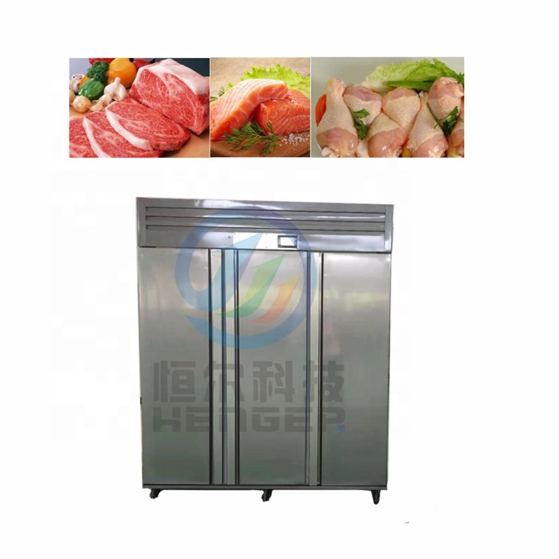 Abattoir Meat Defrosting Machine for Carcass Unfreezing Beef
