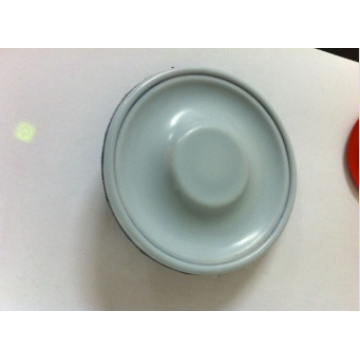 PTFE Adhered EPDM Diaphragm