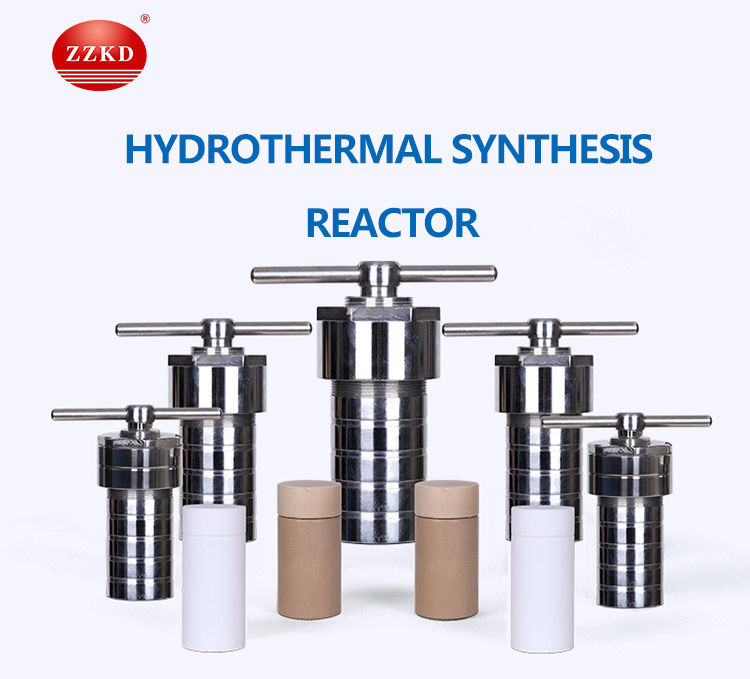 Teflon Lined Hydrothermal Synthesie Reactor