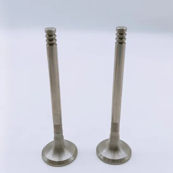 Toyota 2L Engine 13711-54010 Intake Valve & Exhaust Valve 13715-54010 13715-54020 13715-54030 Auto Parts