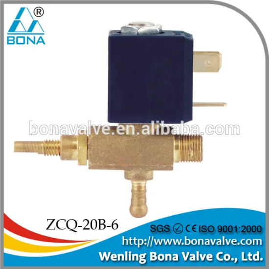 Steam /Ironing/Boiler Brass Solenoid Valve