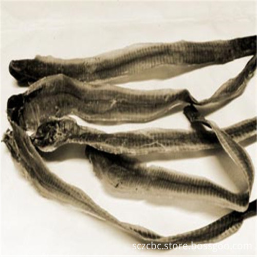 Natural Earthworm Geosaurus rainworm Pheretima dried body
