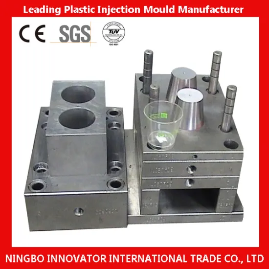 Professional Chinese Plastic Injection Mold Manufacturer (MILE-PIM043)