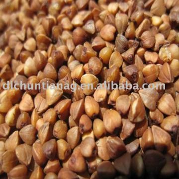 Organic roasted buckwheat