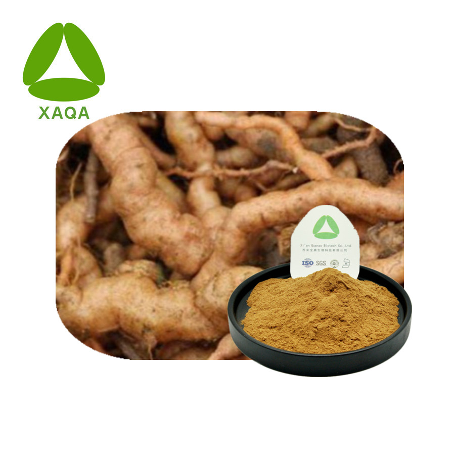 Radix Radices Rehamnniae Extract Powder 10: 1