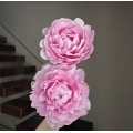 রোমান্টিক গোলাপী রাজকুমারী Peony
