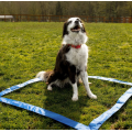 28 Piece Dog Obstacle Course for Training