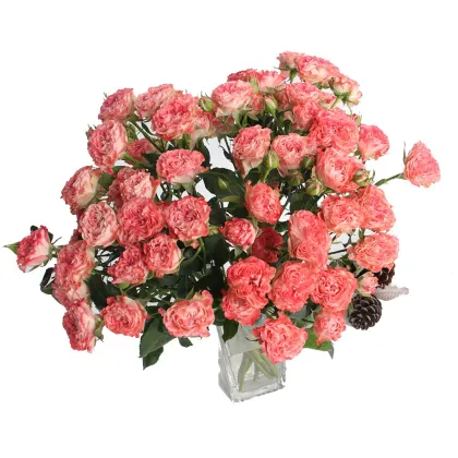2022 Newest Wholesale Fresh Cut Flowers Spray Head Roses for Home Decoration