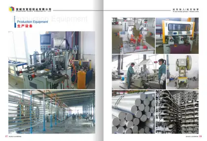 curtain wall series(XL-120 series visible curtain wall structure diagram)