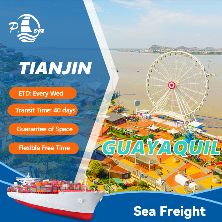 Sea Freight from Tianjin to Guayaquil