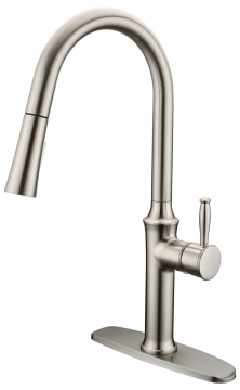 Kitchen Tap With Pull Down Sprayer