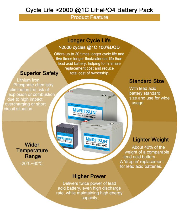 Long Cycle Life Long Cycle Life Lithium Ion Battery - 2000+ Cycles @1c 100%dod 12.8v ...