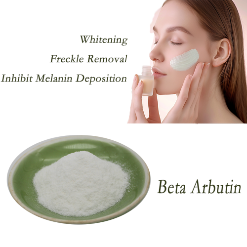 Natural Extracts Cosmetic Grade Beta-Arbutin 99% Beta Arbutin Powder Manufactory