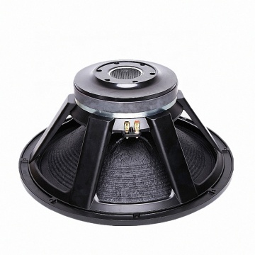 250mm magnet 2400W program power outdoor subwoofer speaker