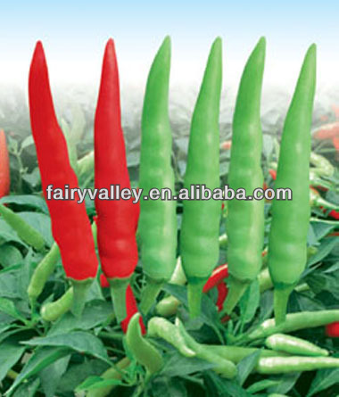 Sky Jade Pepper No.2-Light Yellow Pod Pepper Seeds Cluster Pepper Seeds Red Hot Chili Seeds For Sale