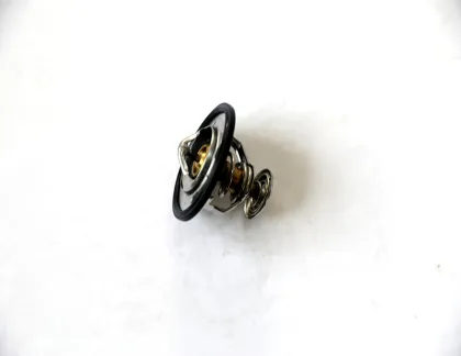 Chery FORA Thermostat 481H-1306020 Compatible Models