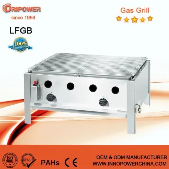 BSCI Audit 2-Burner Gas BBQ Grills