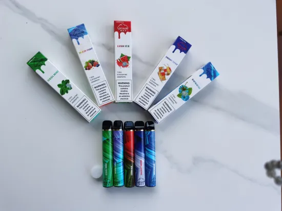 New Wholesale 3000 Puffs Disposable Portable E-Cigarette