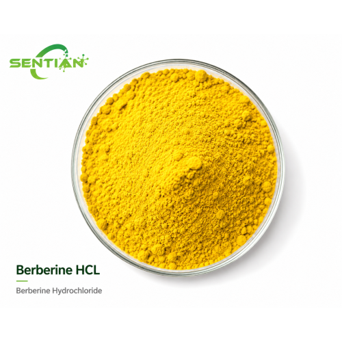 High-Purity Berberine HCL Capsules for Blood Sugar Balance