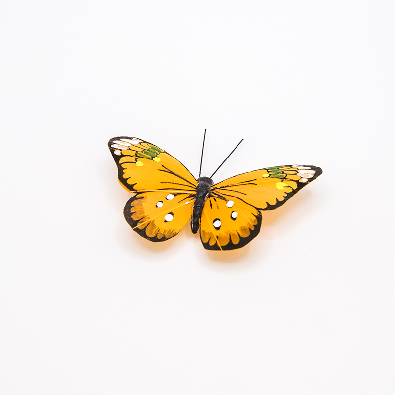 Décoration de papillon pour anniversaire