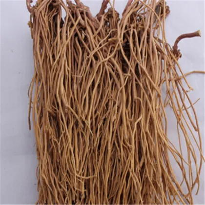 ampelopsis radix BAILIAN Japanese Ampelopsis Root Radix