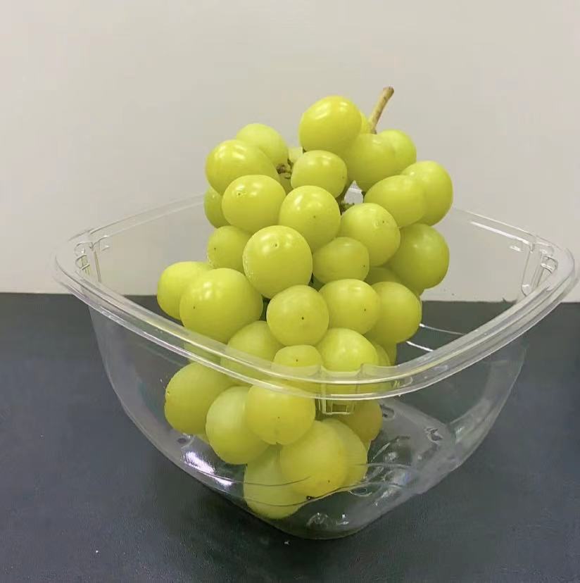 Food Grade Disposable Plastic Grape Containe