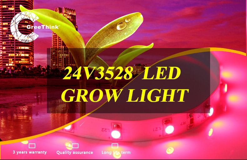 led grow light