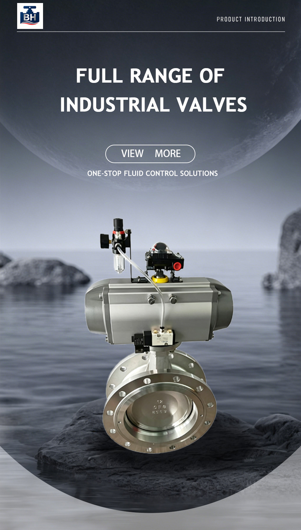14.Pneumatic Double Eccentric Butterfly Valve 000